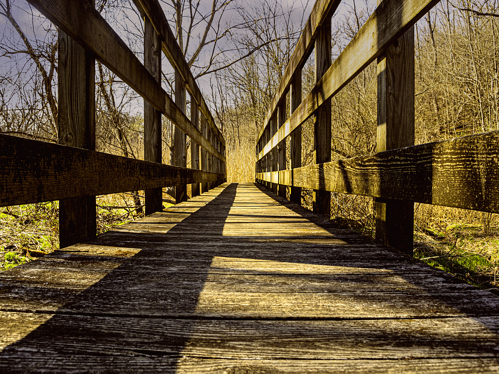 Crossing the Bridge