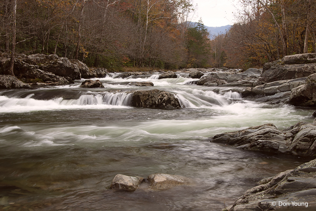 Smoky Mountain Stream - ID: 15910548 © Don Young