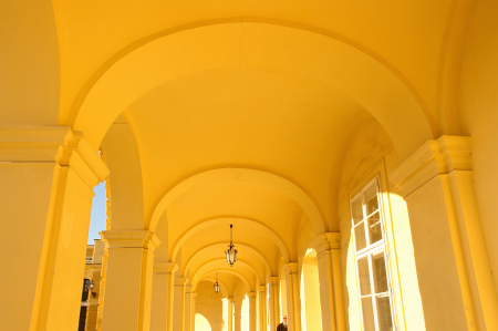 Curves in Yellow.