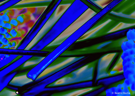 2021 Photo Contest - Abstraction in Color