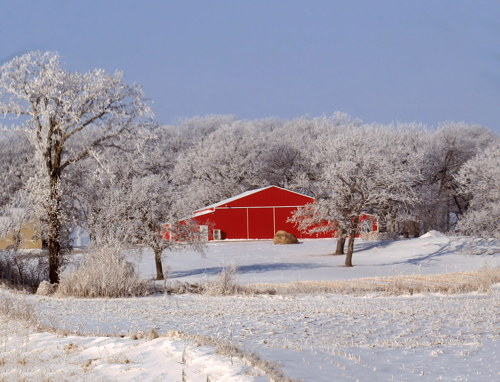 Red Barn In The Snow