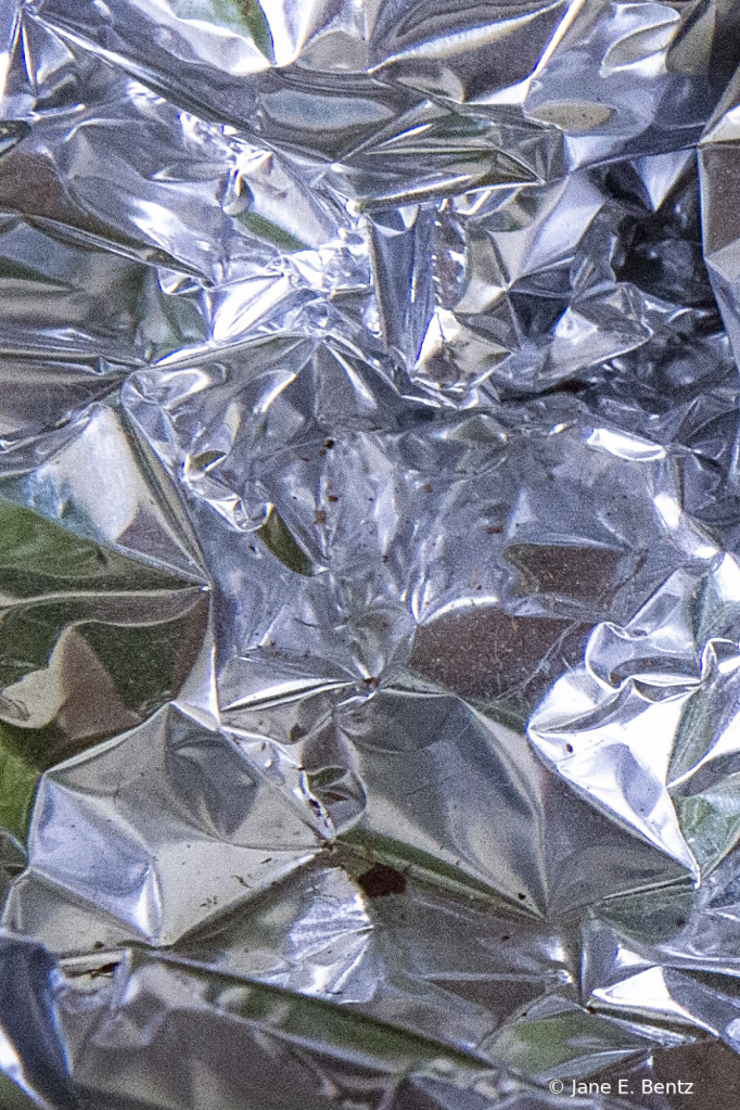 Foil - 2021 Photo Challenge - Day 7