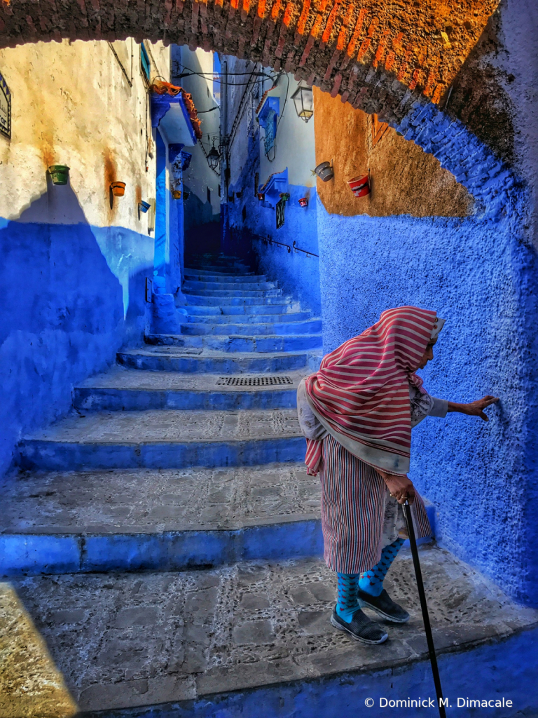 ~ ~ THE LADY AT THE BLUE CITY ~ ~ 