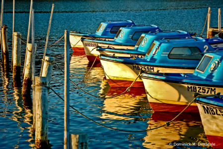 ~ ~ BOATS IN A ROW ~ ~
