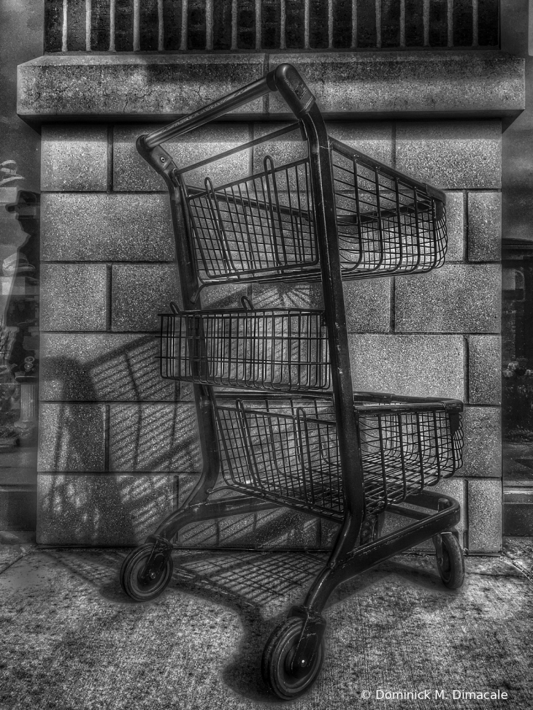 ~ ~ THE GROCERY CART ~ ~ 