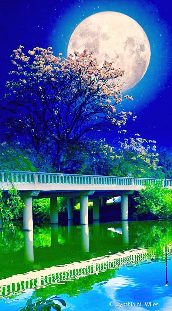 Full Moon Over Bridge