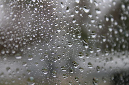 2021 Photo Challenge Droplets On Windows