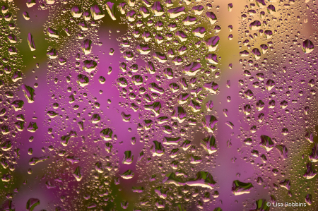 2021 Photo Challenge-More Droplets on Window