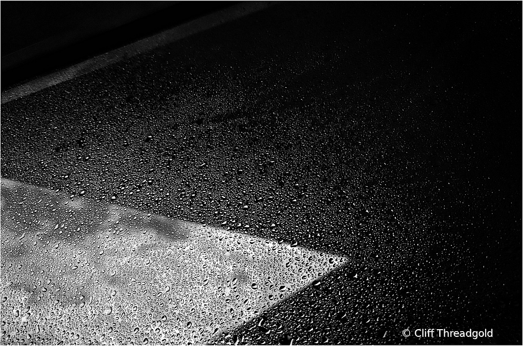 2021 photo challenge- day 16 water droplets 