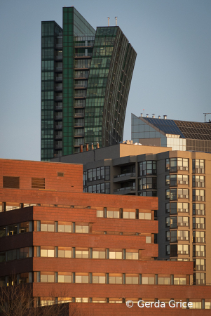 Architectural Contrasts in My Hood