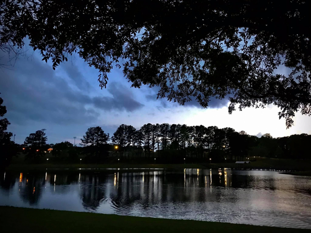 Night Stroll At The Park - ID: 15913380 © Elizabeth A. Marker