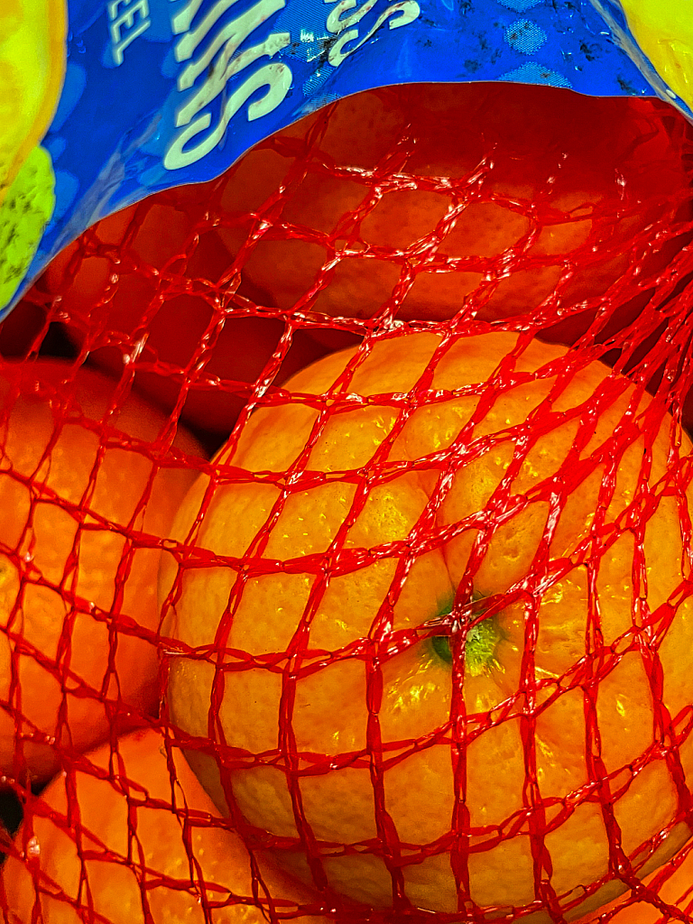 Orange  2021 Photo Challenge (Day 19) - ID: 15913316 © Janet Criswell