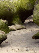 Low Tide (2021 Ph...
