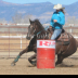 © Diane Garcia PhotoID# 15914635: TaylorJonesUHSRodeoPrice2021Barrels1