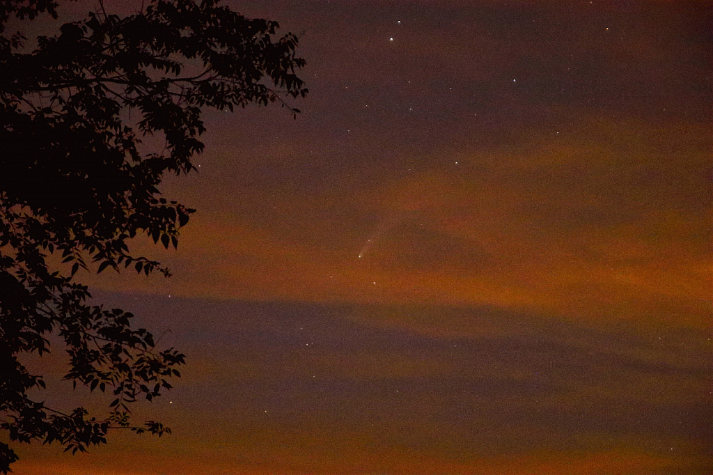 Neowise Comet  - ID: 15915467 © John Dorland