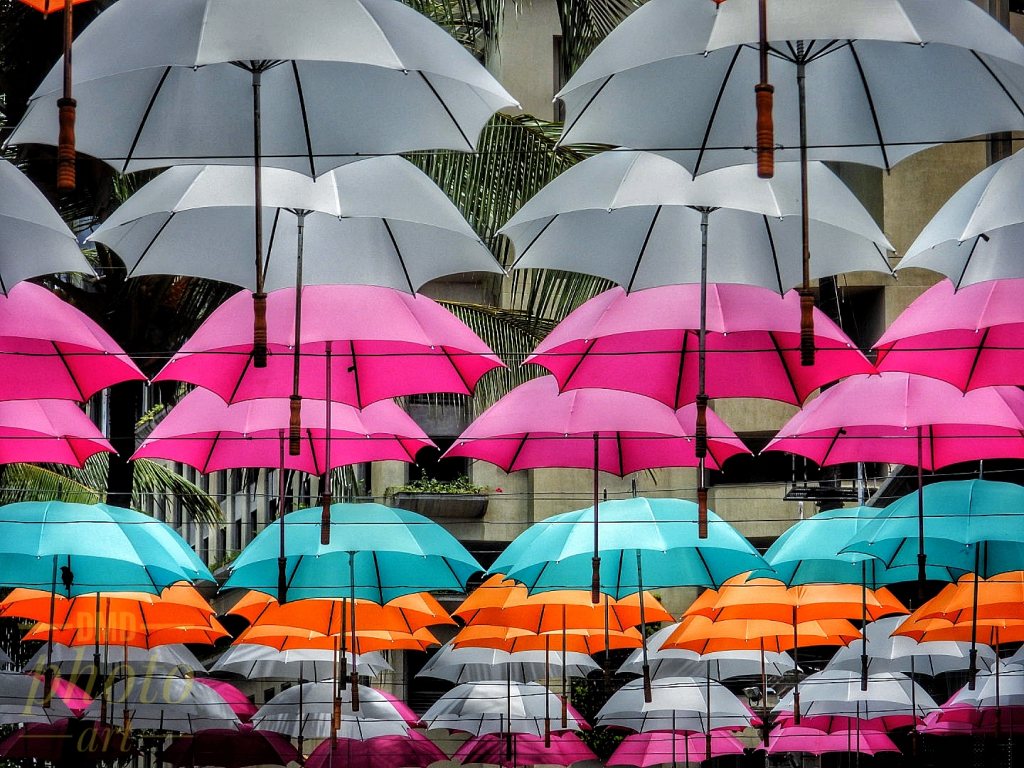 ~ ~ UMBRELLAS ABOVE ~ ~ 