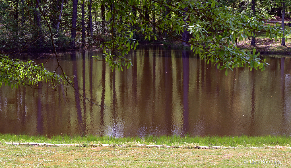 2021 Photo Challenge-Reflections on DP's Lake