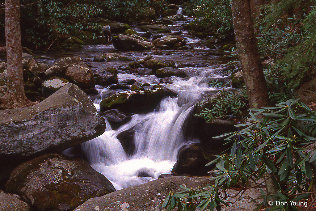 Smoky Mountain Stream