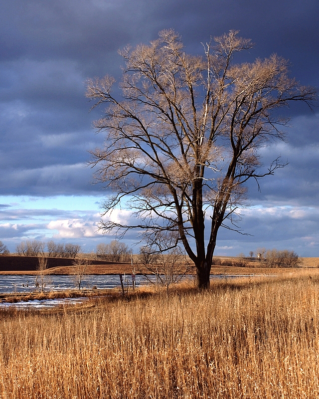 Late Afternoon at Walnut Creek Lake, No 1