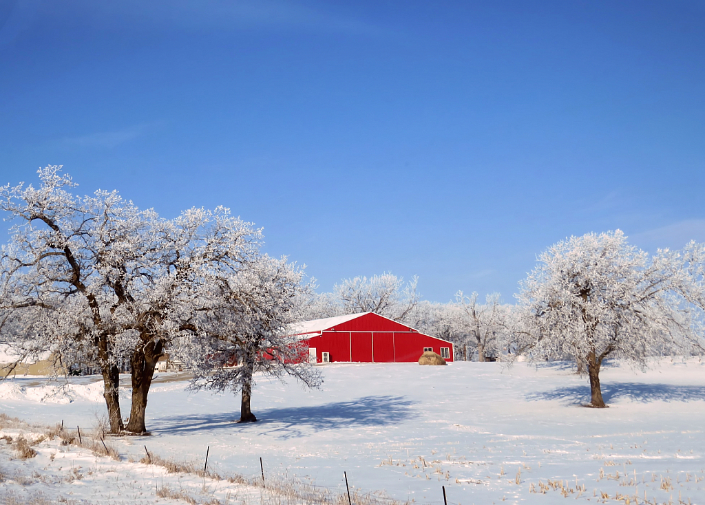 Red Barn And Hoarfrost
