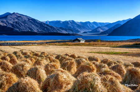 Pangong Lake