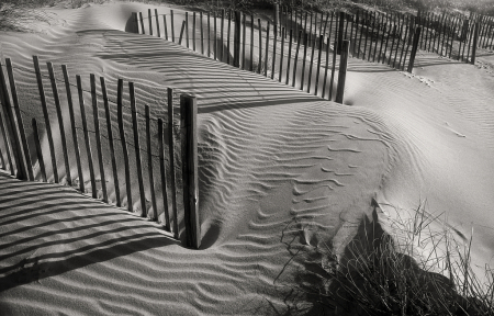 Dune and Fences