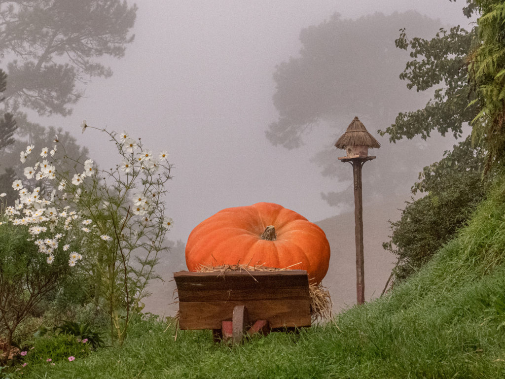 Hobbiton Pumpkin - ID: 15916957 © Patricia A. Casey