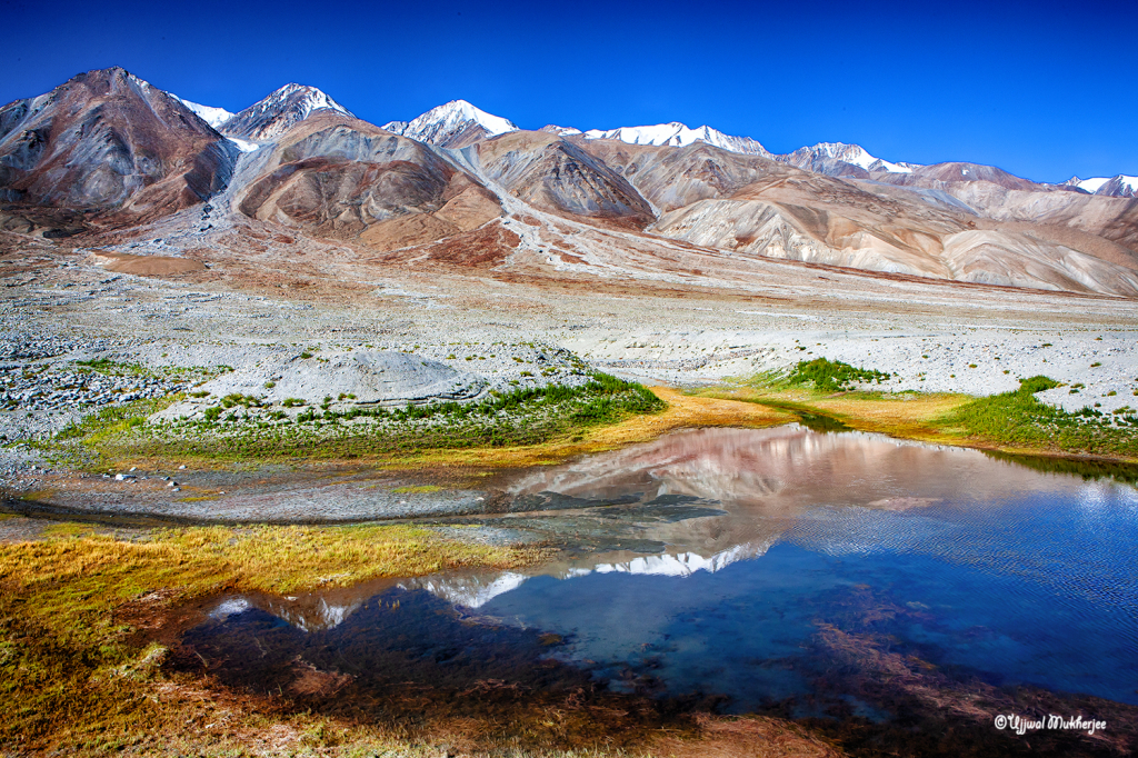 Pangong Landscape