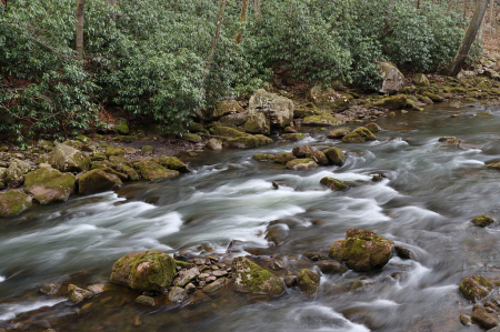 Along the River