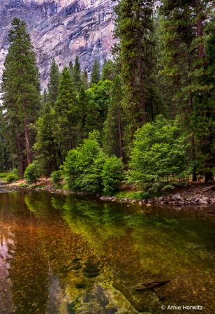 River Reflections