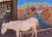 Ambassador to Oat...