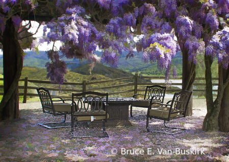 Wisteria picnic