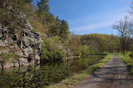 Spring Along the Canal