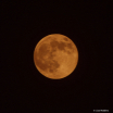 2021 04 26 - The ...