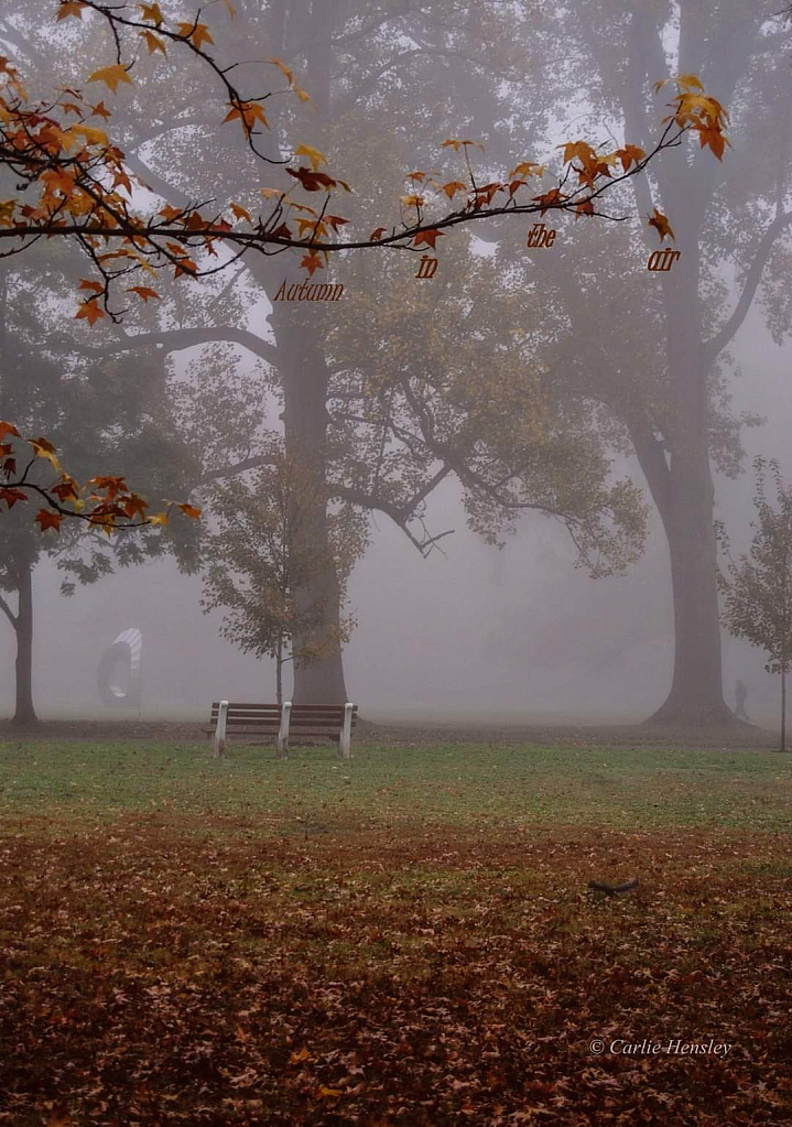 Autumn in the air