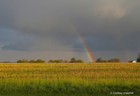 DoubleRainbowIMG_6709