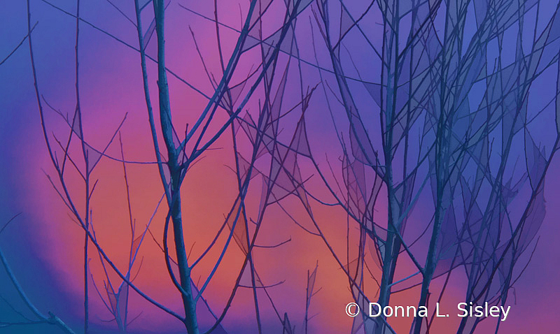 Sunrise Refelctions - ID: 15919158 © Donna L. Sisley