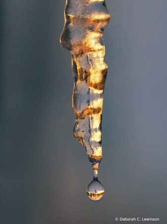 Icicle at Sunset