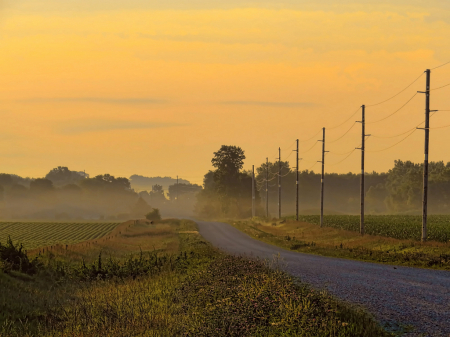 Country Morning