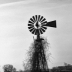 © Carolyn  M. Fletcher PhotoID# 15920544: The Windmill Is Messy