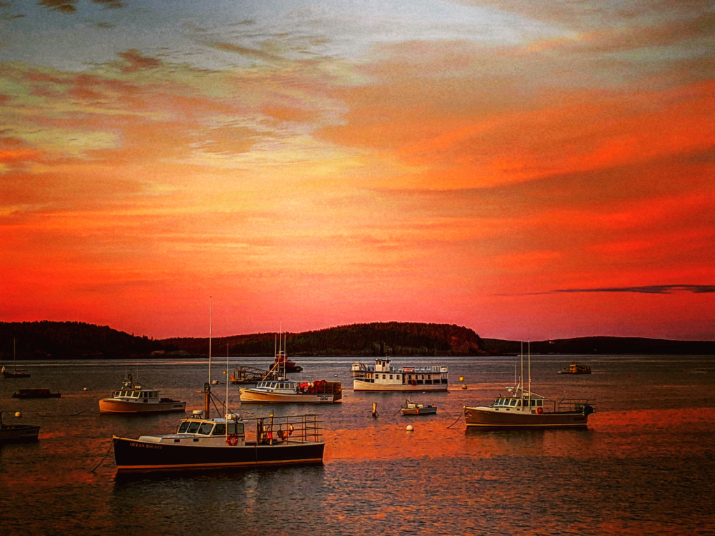 Lobster Boats 