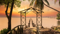 May 2021 Photo Contest 2nd Place Prize Winner