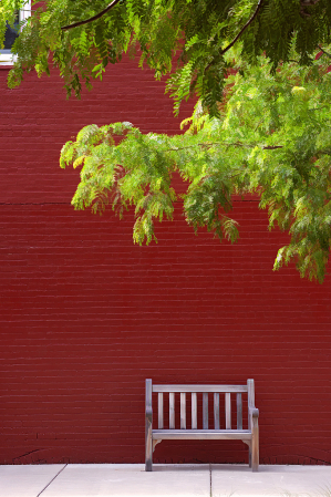 Lonely Bench