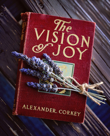 The Vision of Joy