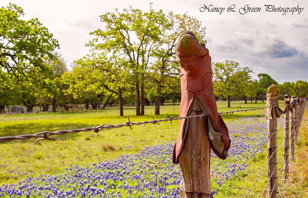 Field of  Blue