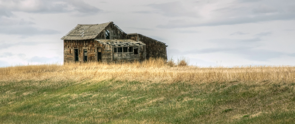 Prairie Relic - ID: 15922201 © Sheila Faryna