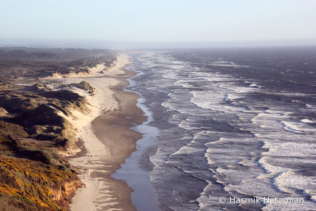 Coastal Waves!