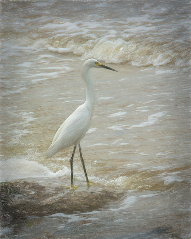 In the Surf