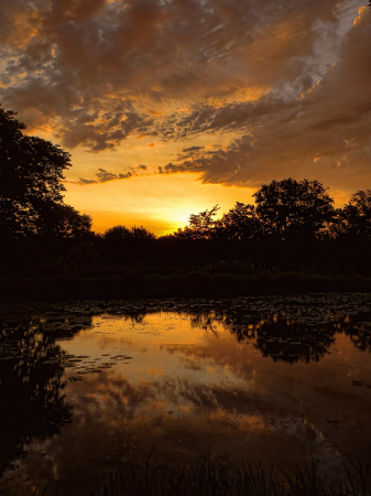 Pioneer Park Pond At Sunrise