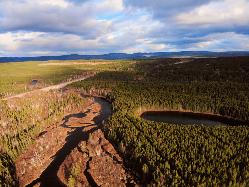 Beauty From The Air